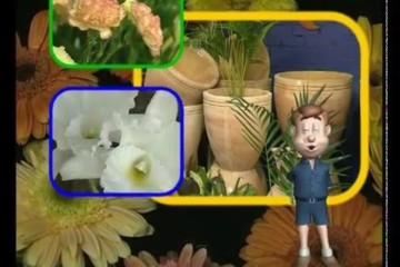 Williams Garden Centre TVC