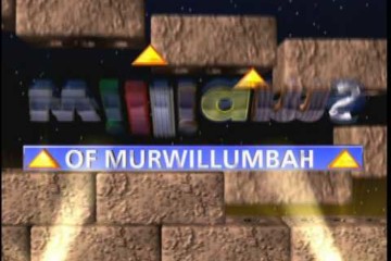 Williams with Brick Corporate Animation