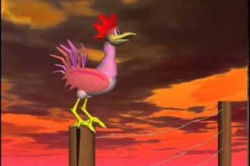 Rooster Animation