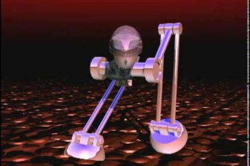 Walker Animation